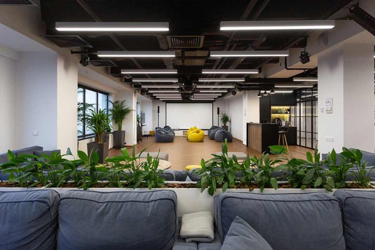 The Hidden Costs of DIY Website Management