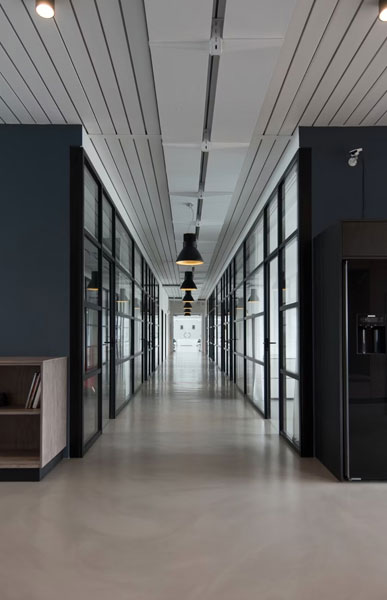 Beyond the Basics: The Full Spectrum of Professional Website Management